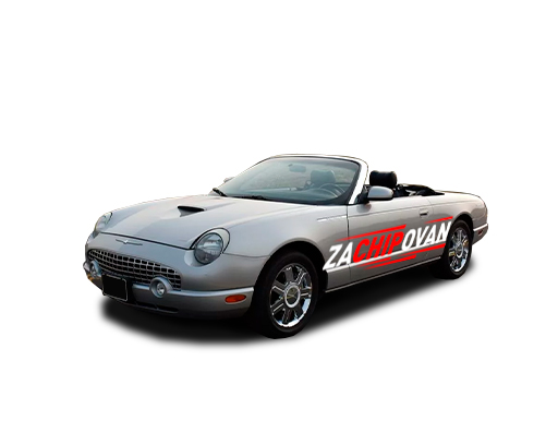 Ford Thunderbird XI Retro Birds (2000-2005) 4.0